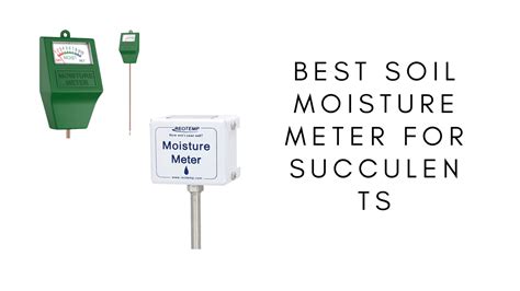 humidity meter for succulent plants